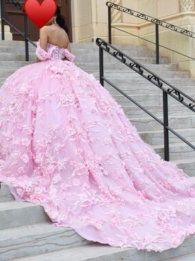 Pink Floral Appliqué Ball Gown / Quinceañera